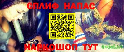 крисы Бузулук