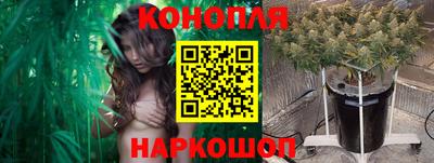 гидропоника Будённовск