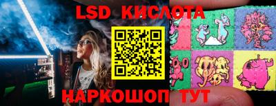 гидропоника Будённовск