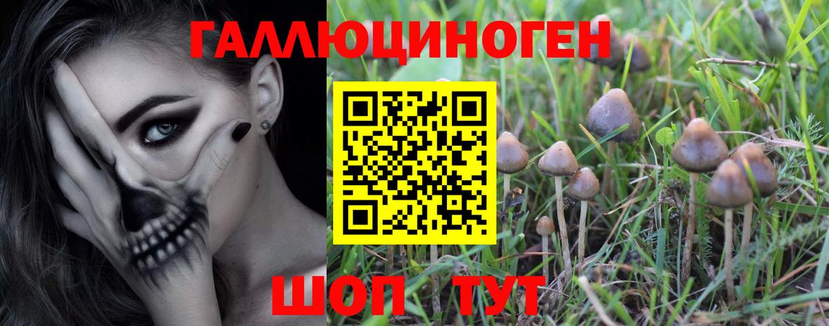 Псилоцибиновые грибы мицелий  закладки  Карабулак  Вход с VPN 